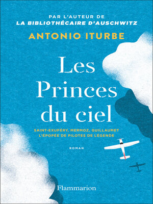 cover image of Les Princes du ciel. Saint-Exupéry, Mermoz, Guillaumet, l'épopée de pilotes de légende